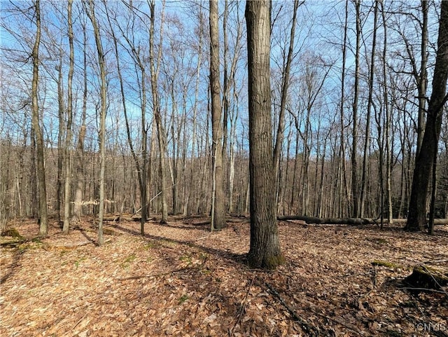 Ryan Hollow Rd, Cohocton, NY 14826