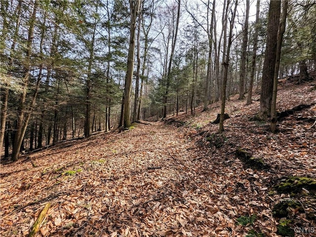 Ryan Hollow Rd, Cohocton, NY 14826