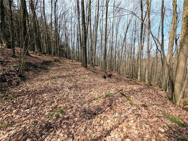 Ryan Hollow Rd, Cohocton, NY 14826