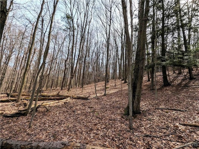 Ryan Hollow Rd, Cohocton, NY 14826