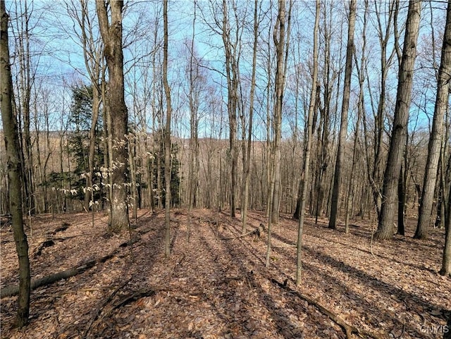Ryan Hollow Rd, Cohocton, NY 14826