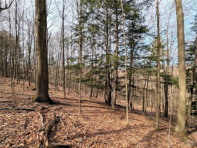 Ryan Hollow Rd, Cohocton, NY 14826
