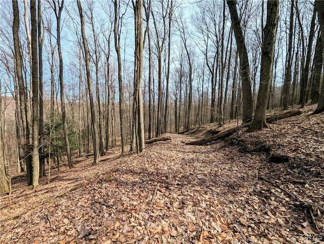 Ryan Hollow Rd, Cohocton, NY 14826