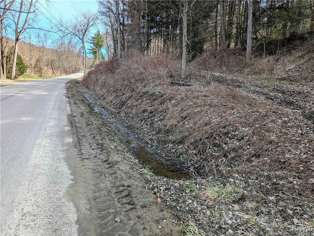 Ryan Hollow Rd, Cohocton, NY 14826