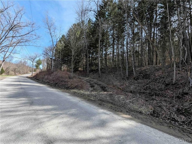 Ryan Hollow Rd, Cohocton, NY 14826