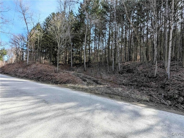 Ryan Hollow Rd, Cohocton, NY 14826