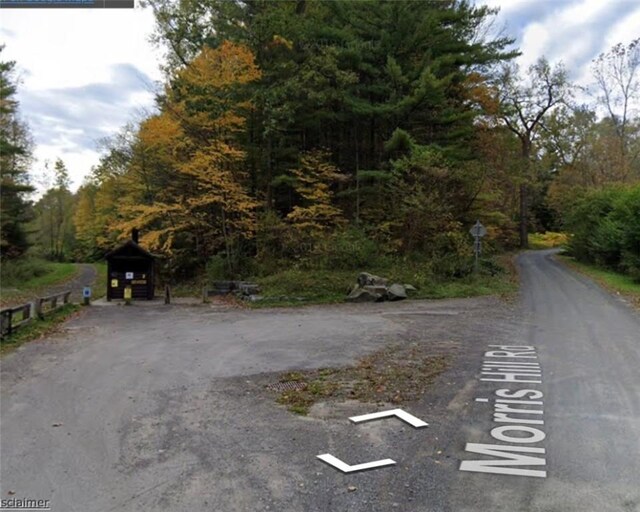 Morris Hill Rd, Veteran, NY 14864 - photo 1
