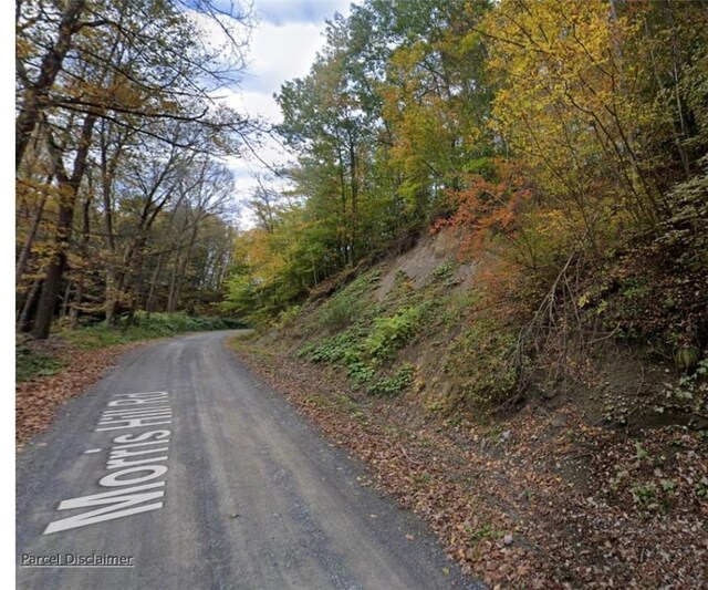 Morris Hill Rd, Veteran, NY 14864 - photo 3