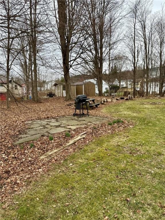 35 Sand St, Afton, NY 13730 - view of yard