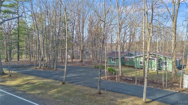 3158 W Lake Rd, Cazenovia, NY 13035 - view of street