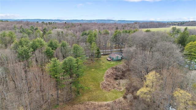 3158 W Lake Rd, Cazenovia, NY 13035 - bird's eye view featuring a view of trees