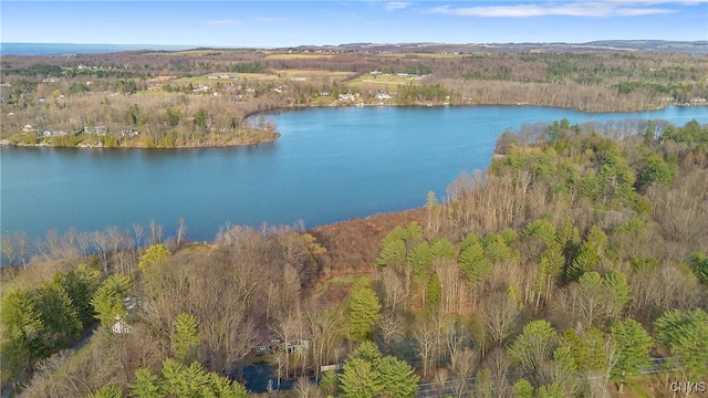 3158 W Lake Rd, Cazenovia, NY 13035 - aerial view featuring a water view and a view of trees