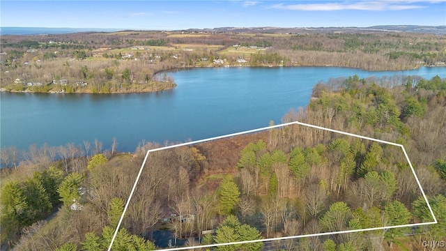 3158 W Lake Rd, Cazenovia, NY 13035 - drone / aerial view featuring a water view and a view of trees