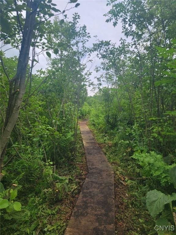 3158 W Lake Rd, Cazenovia, NY 13035 - photo 46