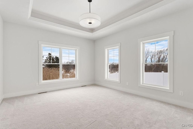 empty room with plenty of natural light, a tray ceiling, and carpet flooring
