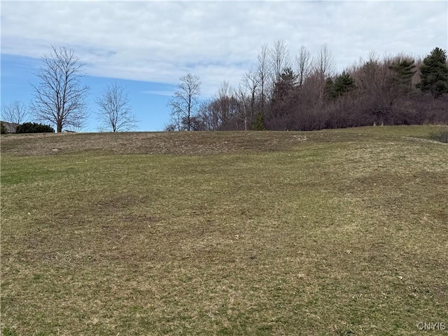 view of landscape