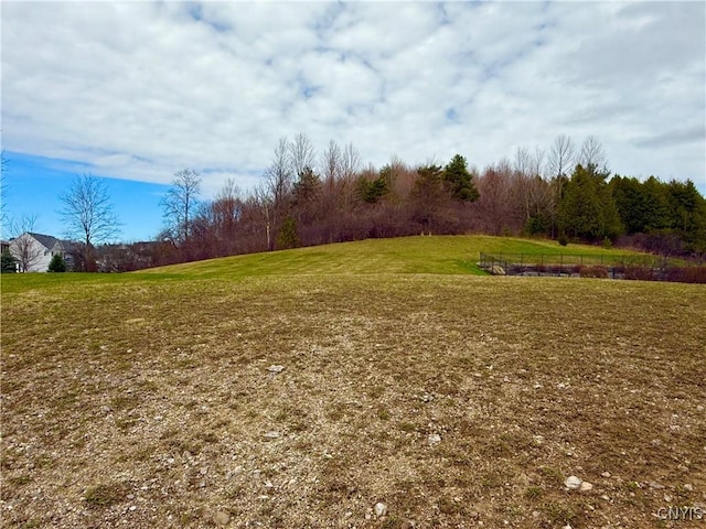 view of home's community with a lawn