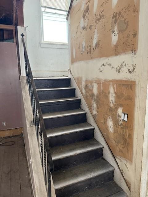 88 Hobart St, Rochester, NY 14611 - photo 8