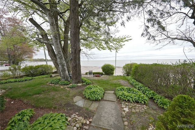 8784 Lake Shore Rd, Evans, NY 14006 - view of green lawn