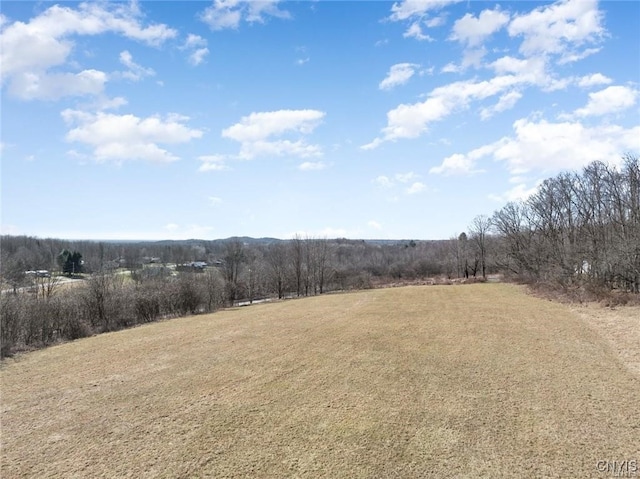 0 Capron Rd, Lee, NY 13440