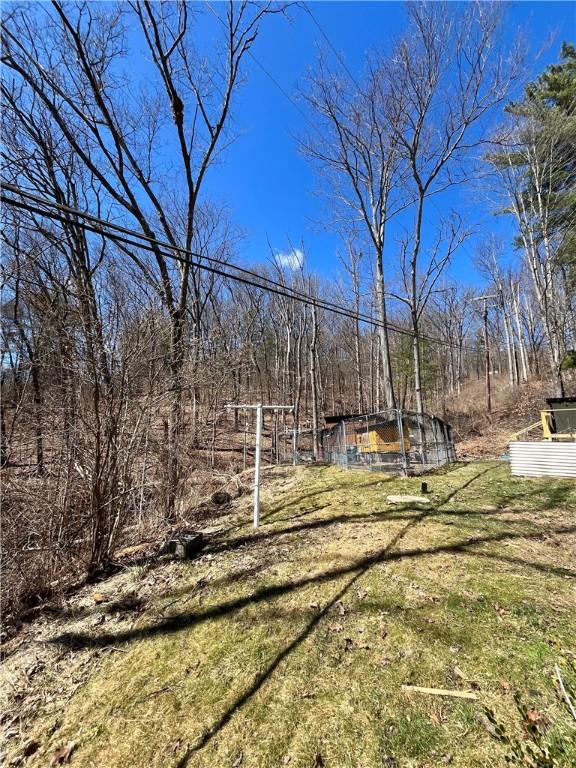 115 Forest Hills Dr, Elmira, NY 14905 - view of yard