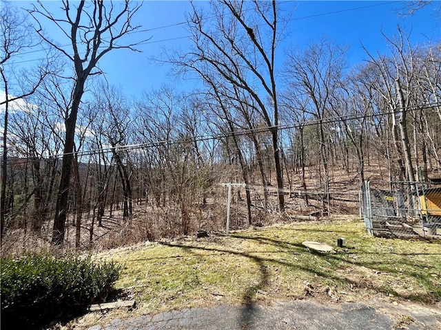 115 Forest Hills Dr, Elmira, NY 14905 - view of yard