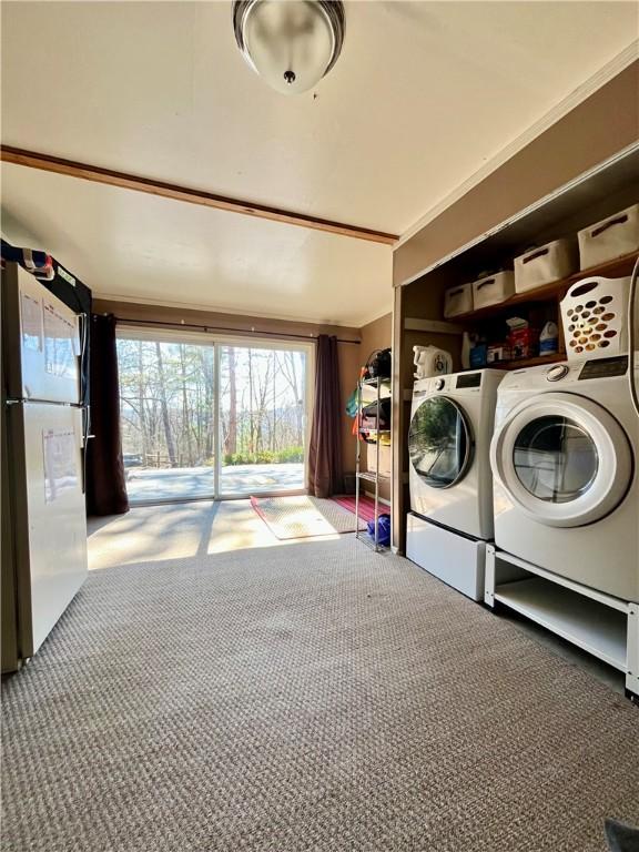 115 Forest Hills Dr, Elmira, NY 14905 - laundry room with washer and clothes dryer, laundry area, and carpet