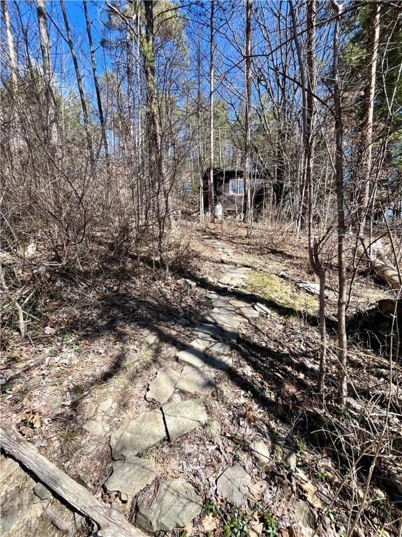 115 Forest Hills Dr, Elmira, NY 14905 - exterior space