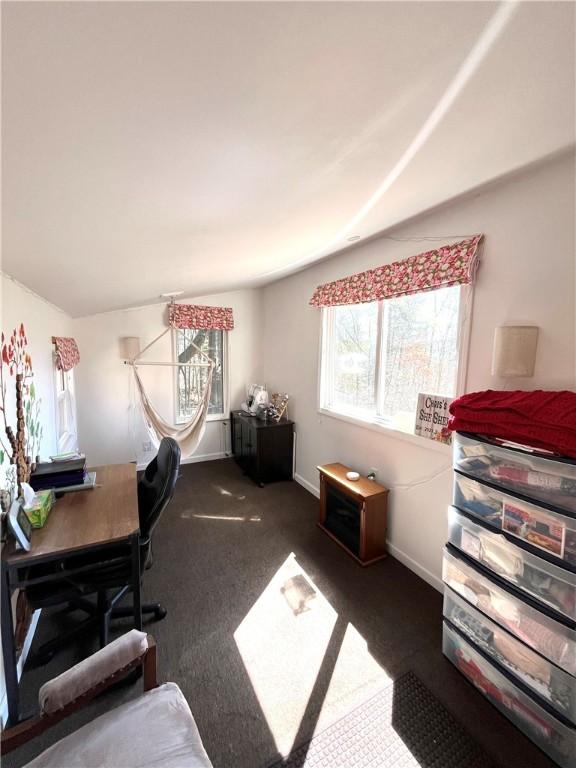 115 Forest Hills Dr, Elmira, NY 14905 - view of carpeted office