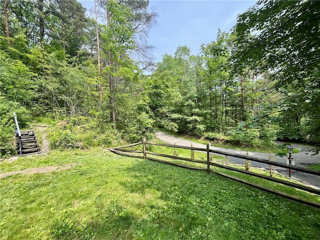115 Forest Hills Dr, Elmira, NY 14905 - view of yard