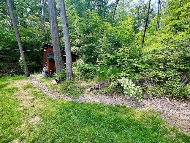 115 Forest Hills Dr, Elmira, NY 14905 - view of yard with a storage shed and a forest view