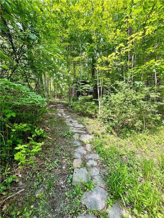 115 Forest Hills Dr, Elmira, NY 14905 - view of local wilderness