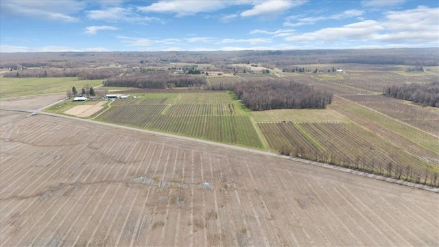aerial view with a rural view