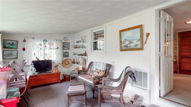 5 E Washington St, Bath, NY 14810 - sitting room with carpet flooring and visible vents