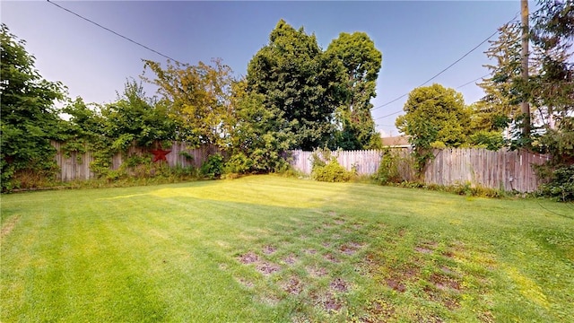 5 E Washington St, Bath, NY 14810 - view of yard featuring fence