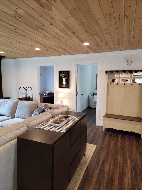 204 Ives Settlement Rd, Guilford, NY 13780 - living room featuring dark wood-type flooring, wooden ceiling, and ornamental molding