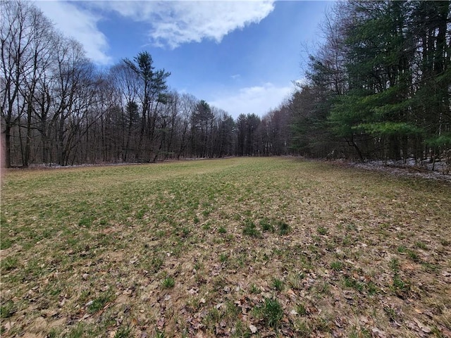 204 Ives Settlement Rd, Guilford, NY 13780 - view of yard featuring a forest view