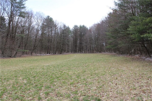 204 Ives Settlement Rd, Guilford, NY 13780 - view of yard featuring a forest view
