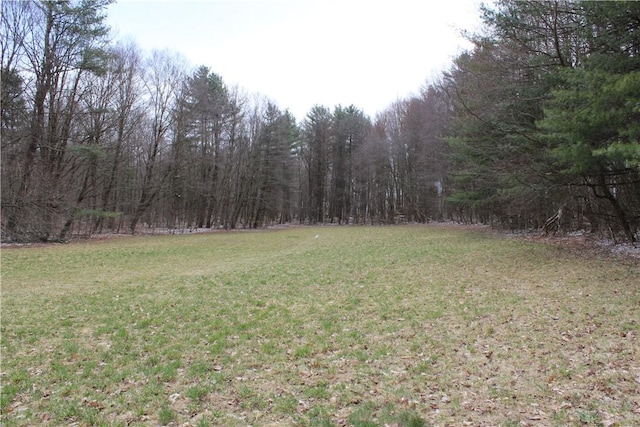 204 Ives Settlement Rd, Guilford, NY 13780 - view of grassy yard with a view of trees