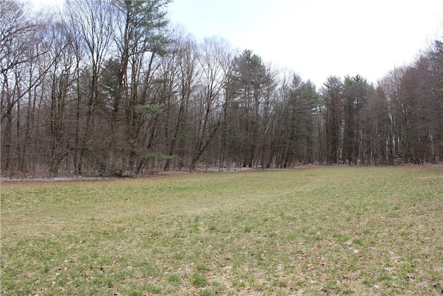204 Ives Settlement Rd, Guilford, NY 13780 - view of grassy yard featuring a wooded view