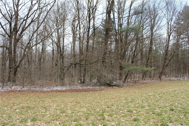 204 Ives Settlement Rd, Guilford, NY 13780 - view of green lawn