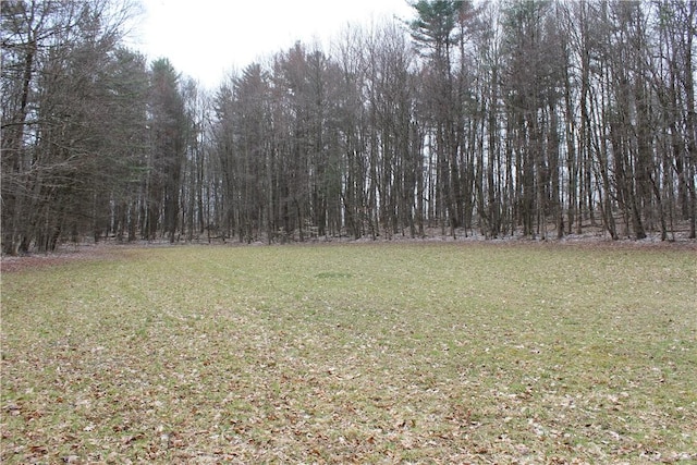 204 Ives Settlement Rd, Guilford, NY 13780 - view of yard