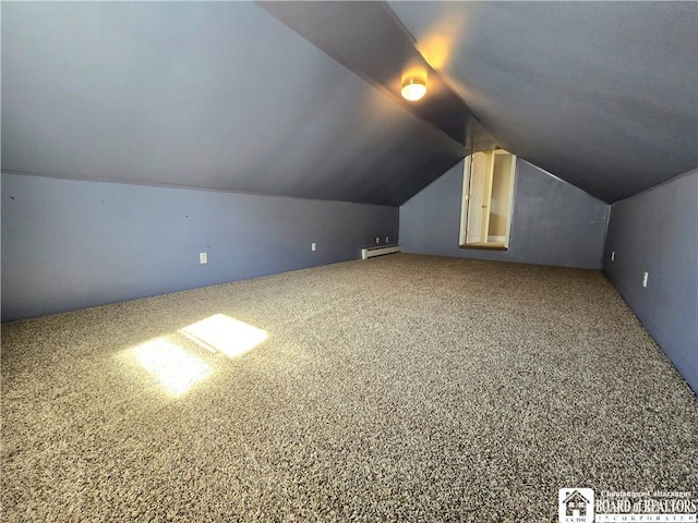 216 S Pleasant St, Shinglehouse, PA 16748 - additional living space featuring baseboard heating, vaulted ceiling, and carpet floors