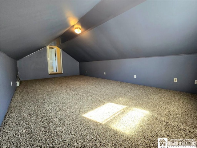 216 S Pleasant St, Shinglehouse, PA 16748 - additional living space with carpet flooring and lofted ceiling
