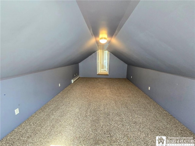 216 S Pleasant St, Shinglehouse, PA 16748 - bonus room featuring carpet flooring, a baseboard heating unit, and vaulted ceiling