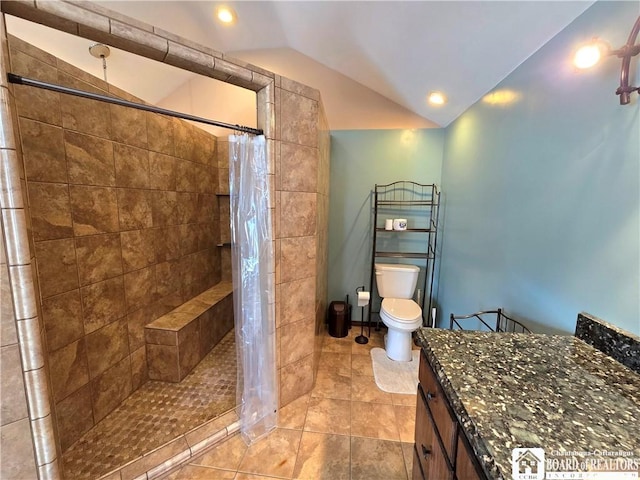 216 S Pleasant St, Shinglehouse, PA 16748 - full bath featuring toilet, a tile shower, vanity, and vaulted ceiling