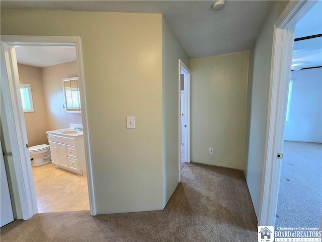 216 S Pleasant St, Shinglehouse, PA 16748 - hallway featuring a sink and light colored carpet