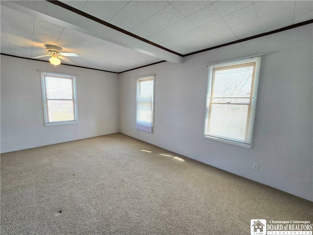 216 S Pleasant St, Shinglehouse, PA 16748 - unfurnished room with plenty of natural light, carpet flooring, a ceiling fan, and ornamental molding