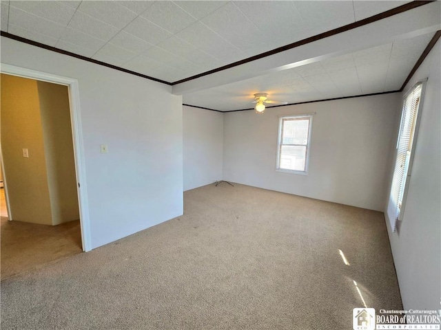 216 S Pleasant St, Shinglehouse, PA 16748 - empty room with crown molding, ceiling fan, and carpet