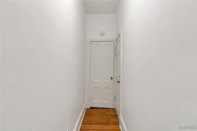 153 Allen St, Buffalo, NY 14201 - hall with baseboards and wood finished floors